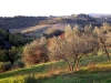 tuscany-landscape